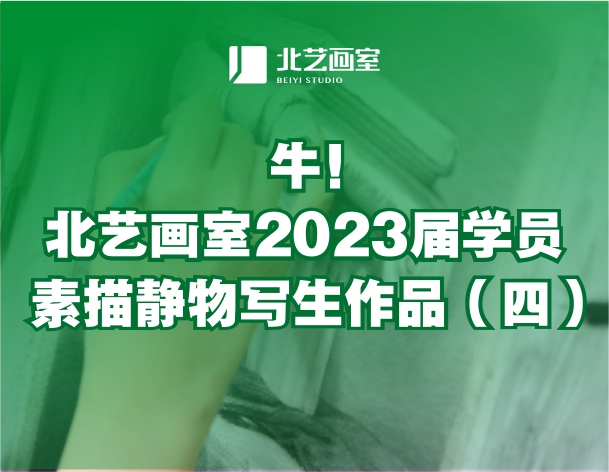 牛！北藝畫室2023屆學(xué)員素描靜物寫生作品（四）