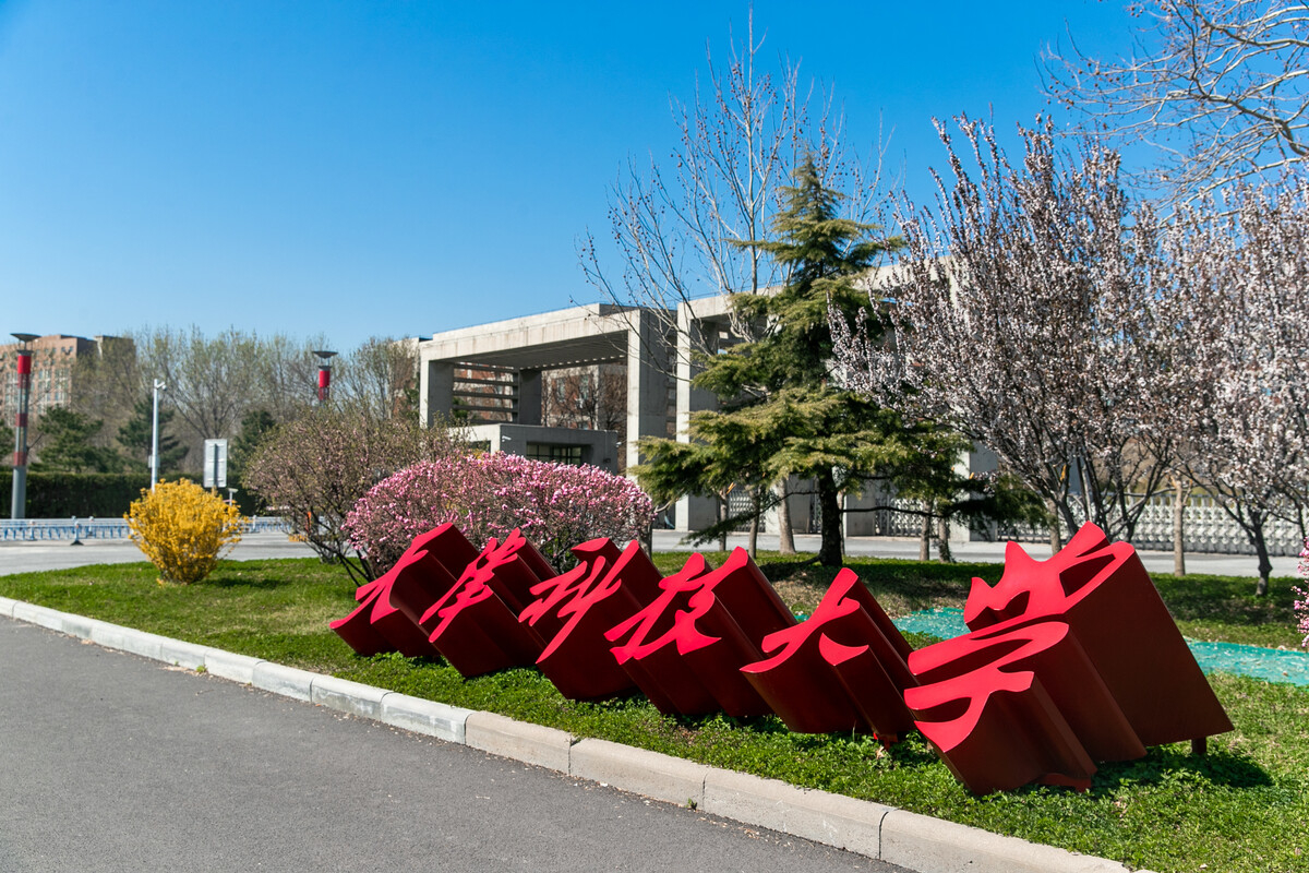 天津科技大學(xué)2023年美術(shù)類錄取分?jǐn)?shù)線是多少？藝術(shù)類招生484人