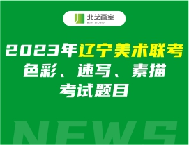 2023年遼寧美術(shù)聯(lián)考色彩、速寫、素描考試題目
