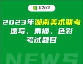 2023年湖南美術(shù)聯(lián)考速寫、素描、色彩考試題目