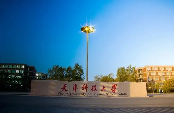 招生484人，天津科技大學(xué)2024年藝術(shù)類專業(yè)招生簡章解讀