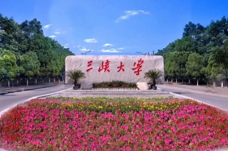 招生320人！解讀三峽大學(xué)2024年藝術(shù)類專業(yè)招生簡章