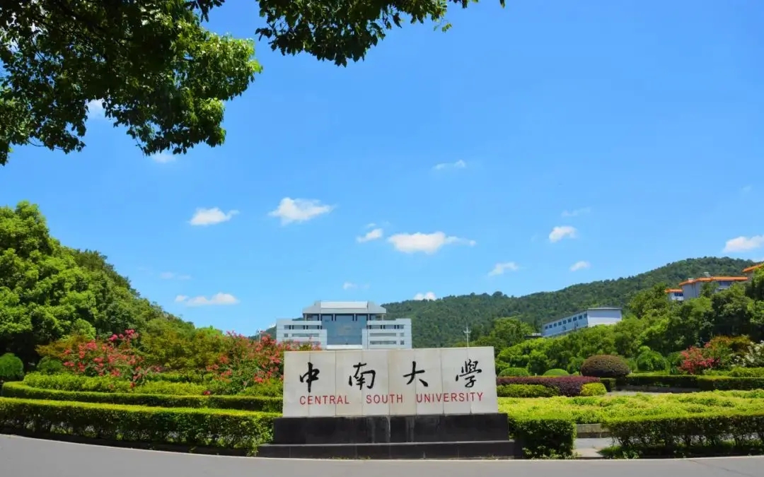 招211人，中南大學(xué)發(fā)布2024年藝術(shù)類專業(yè)招生簡章解讀
