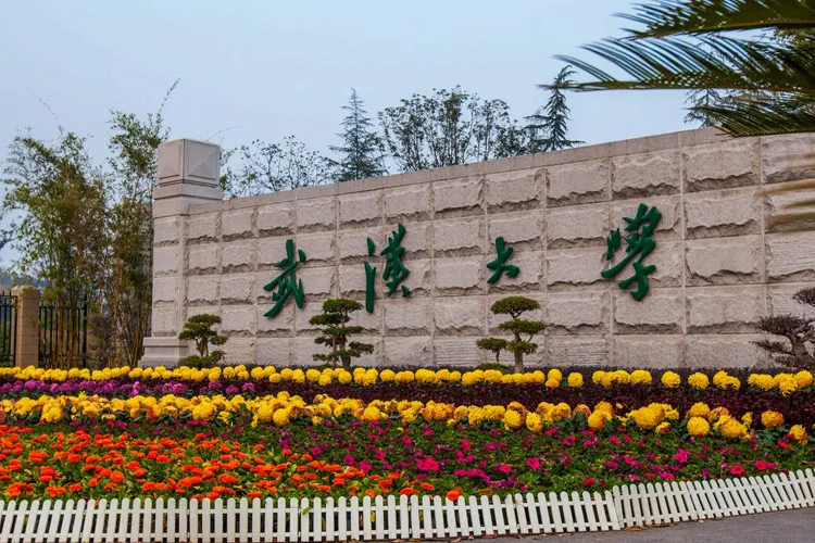 湖北美術(shù)生考得如何？最好錄取大學(xué)要多少分？