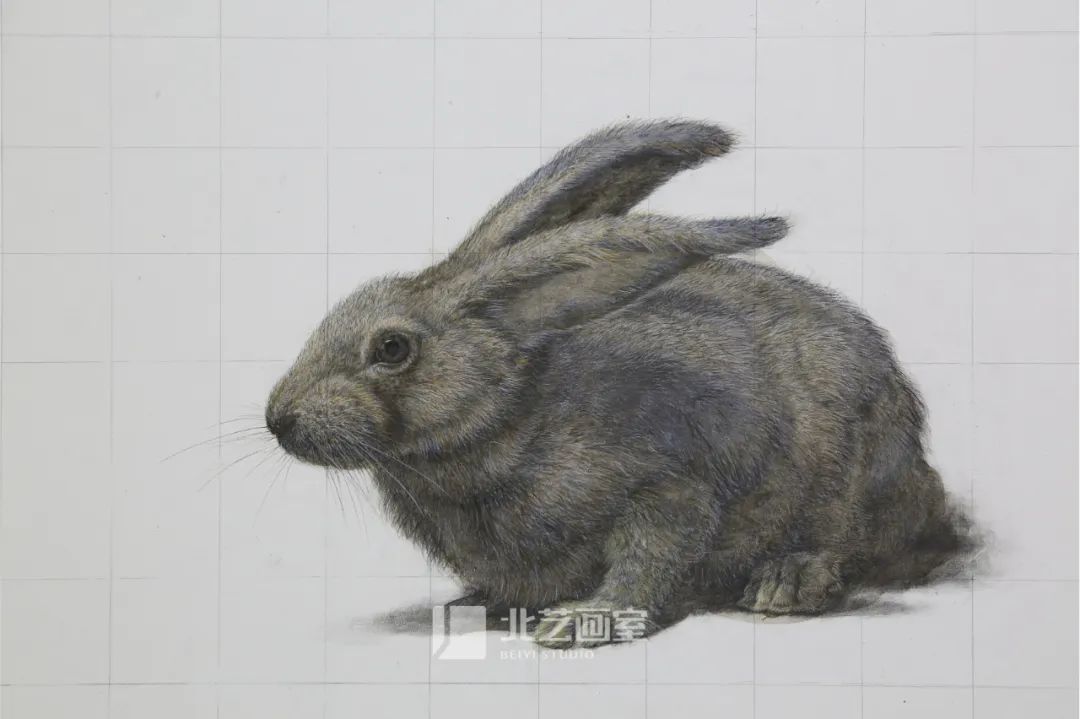 太吸睛！一大波北藝新素描作品來襲~
