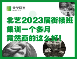 北藝2023屆銜接班集訓(xùn)才一個(gè)多月，竟然畫的這么好