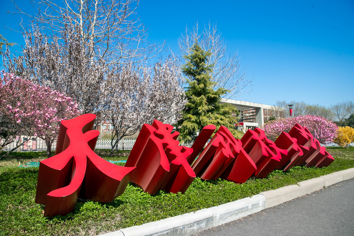 天津科技大學(xué)2023年承認(rèn)各省美術(shù)統(tǒng)考成績
