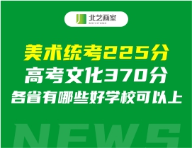 美術(shù)統(tǒng)考225分高考文化370分，各省有哪些好學(xué)校可以上