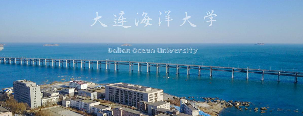 揚(yáng)帆起航！大連海洋大學(xué)2024年采用各省美術(shù)統(tǒng)考成績