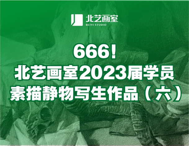 666！北藝畫室2023屆學(xué)員素描靜物寫生作品（六）